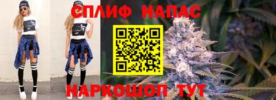 PSILOCYBIN Нальчик